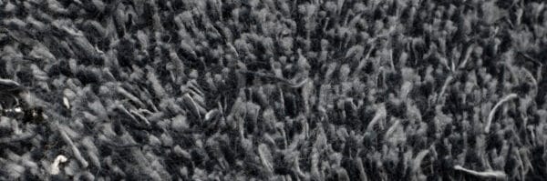 Tapis absorbant et antisalissure